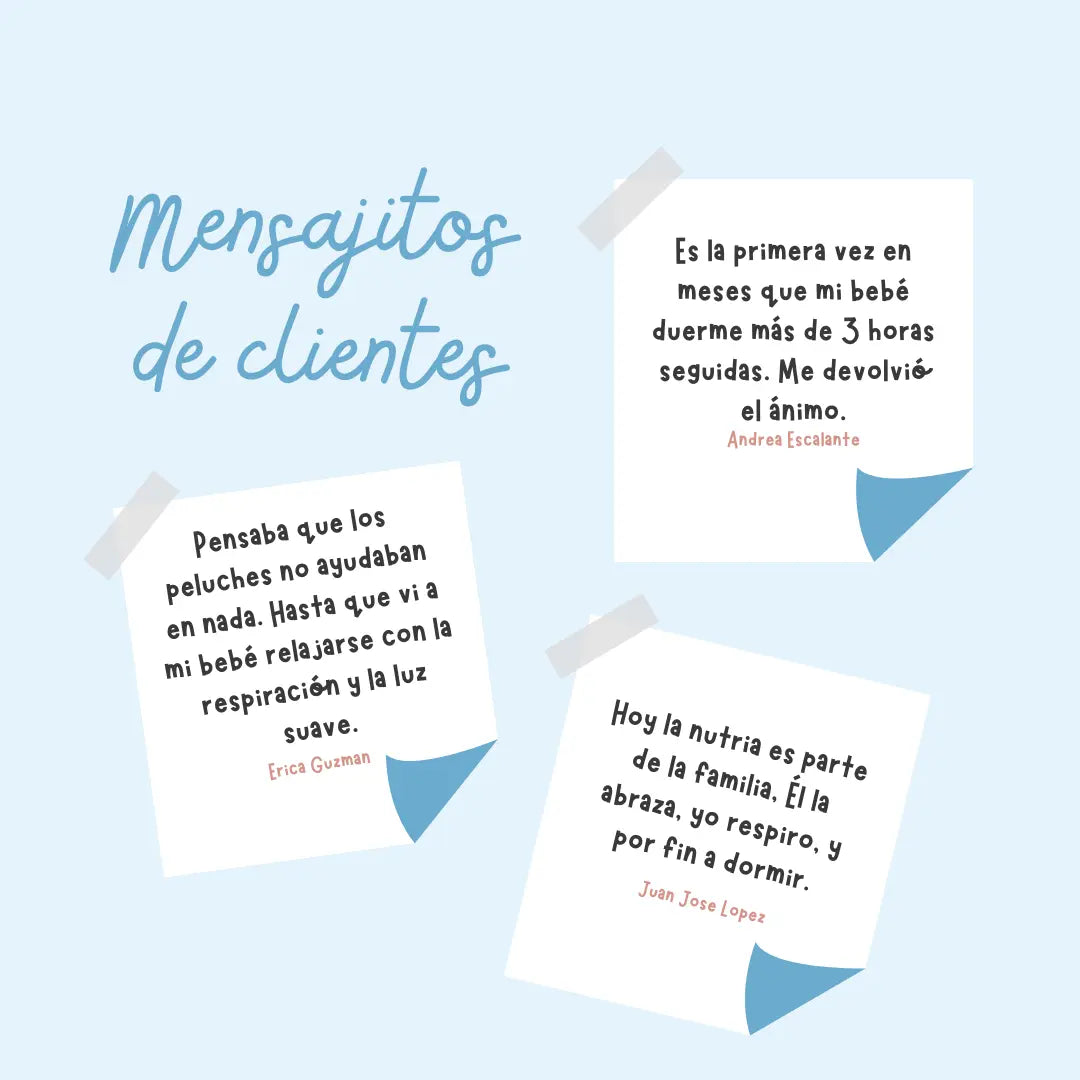 Nutria Durmiente - Sueño Profundo